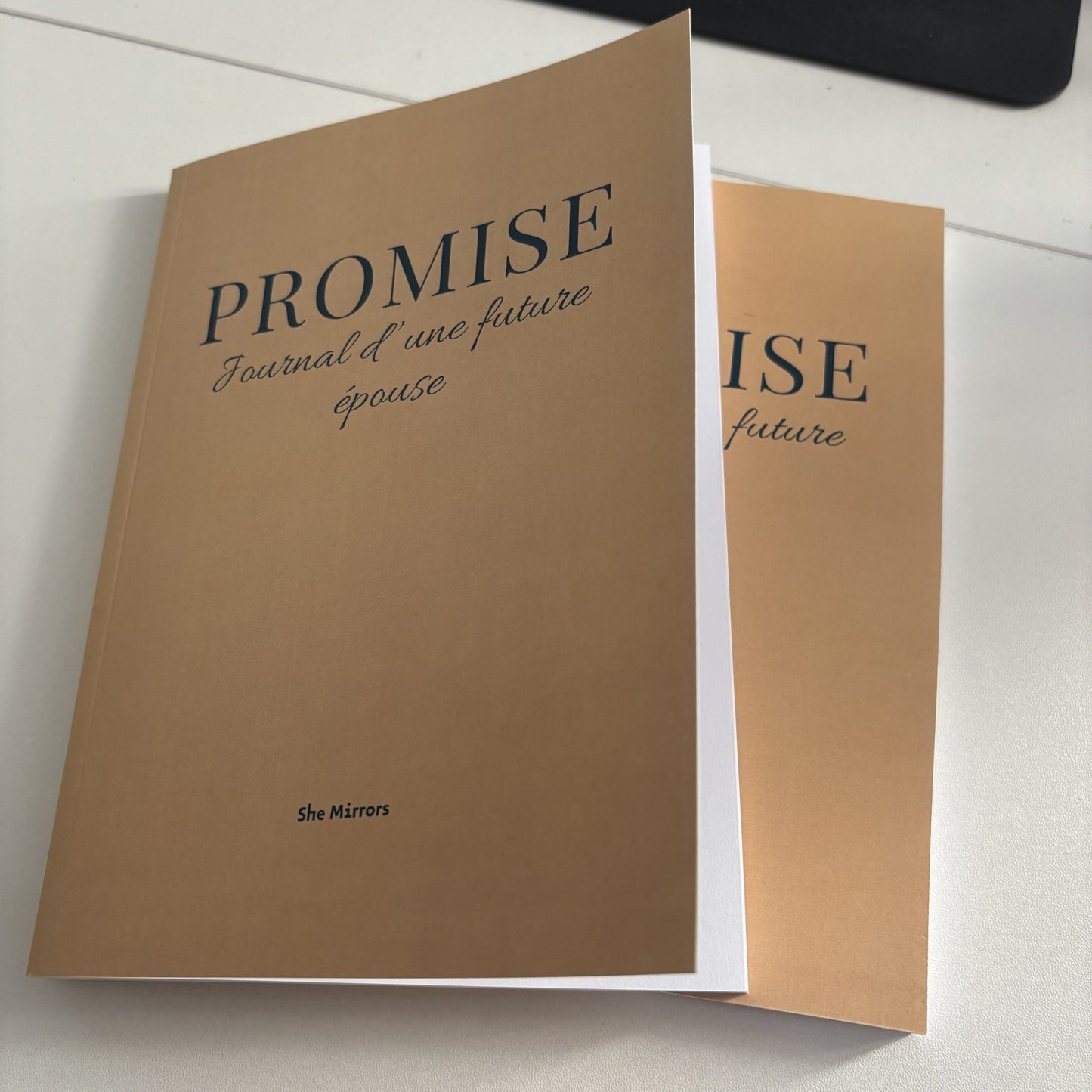 Promise : Carnet chrétien pour préparer son cœur