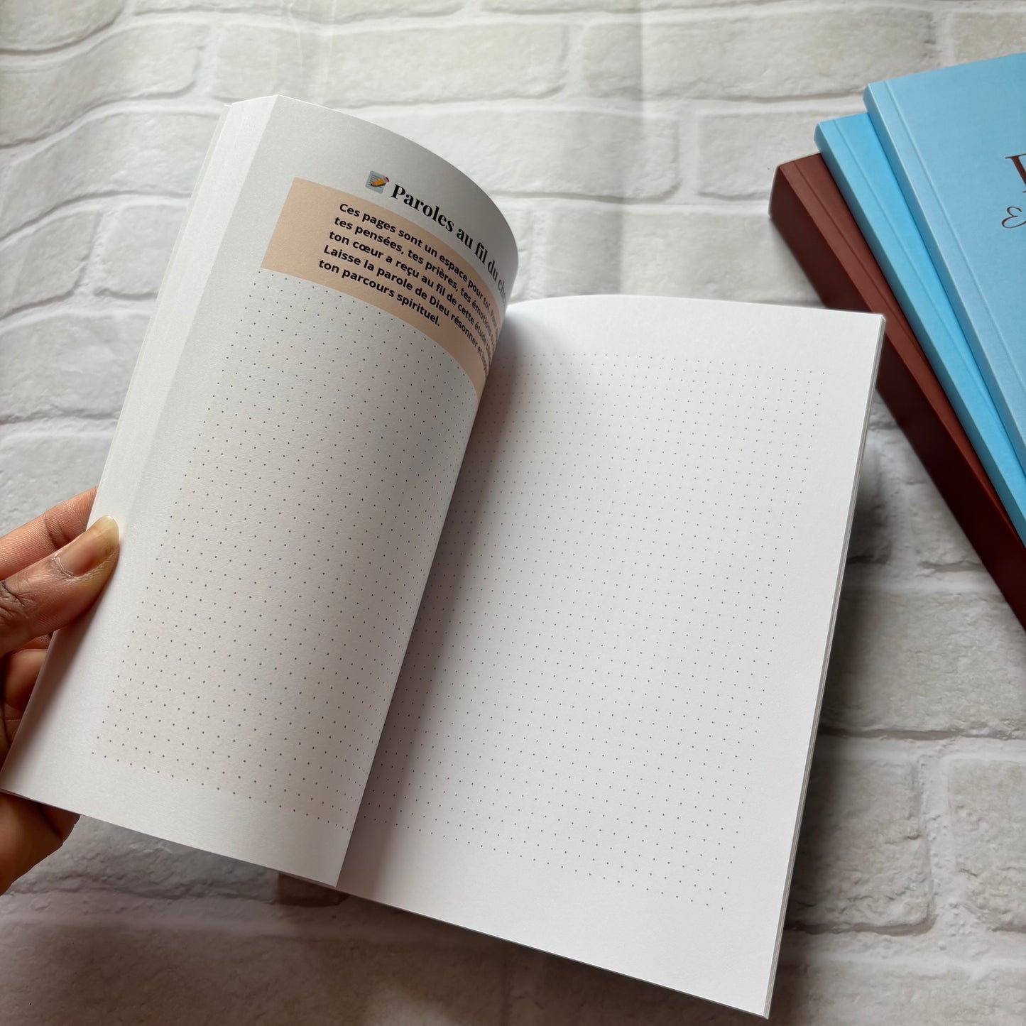 Ruth - Etude biblique pour avancer dans une nouvelle saison
