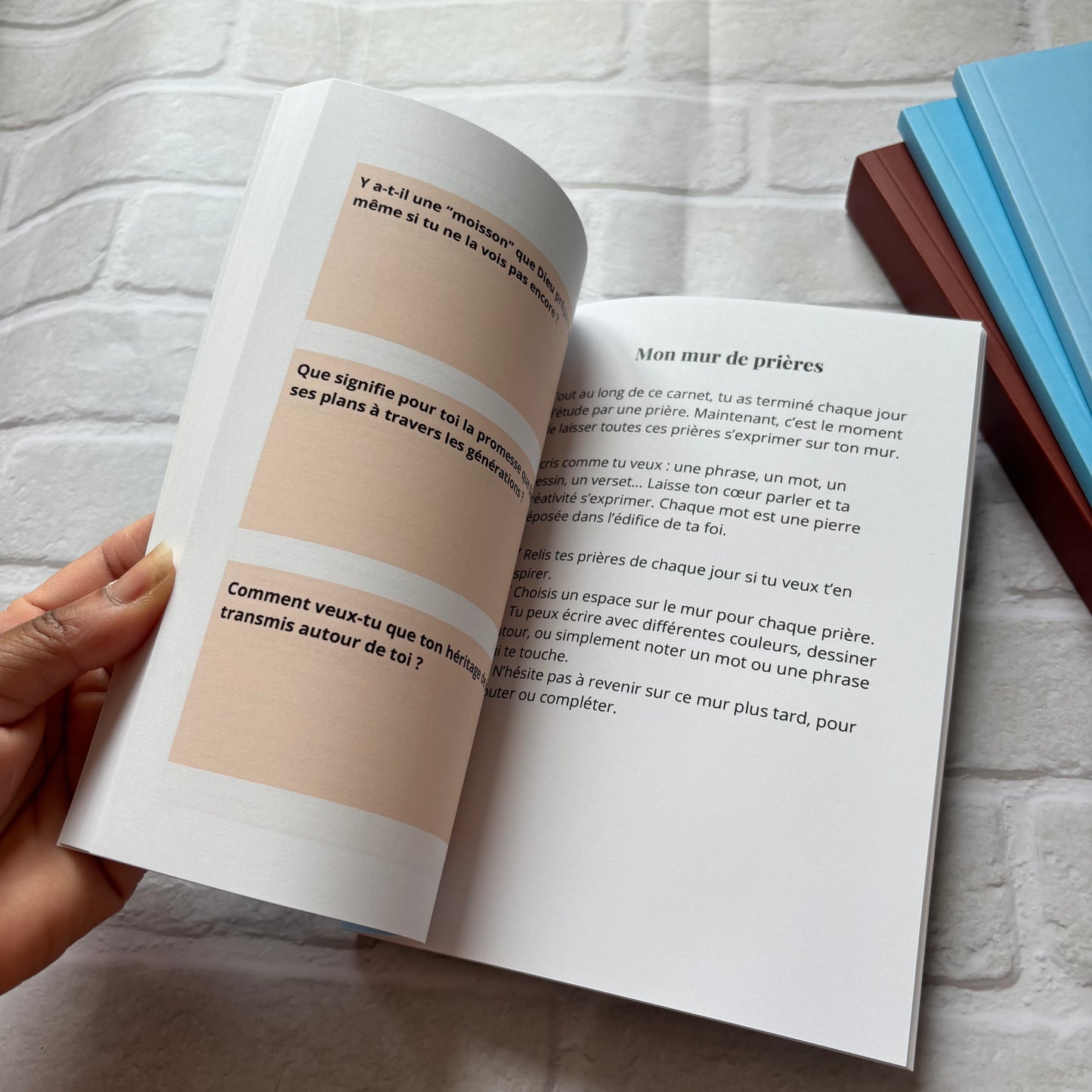 Ruth - Etude biblique pour avancer dans une nouvelle saison
