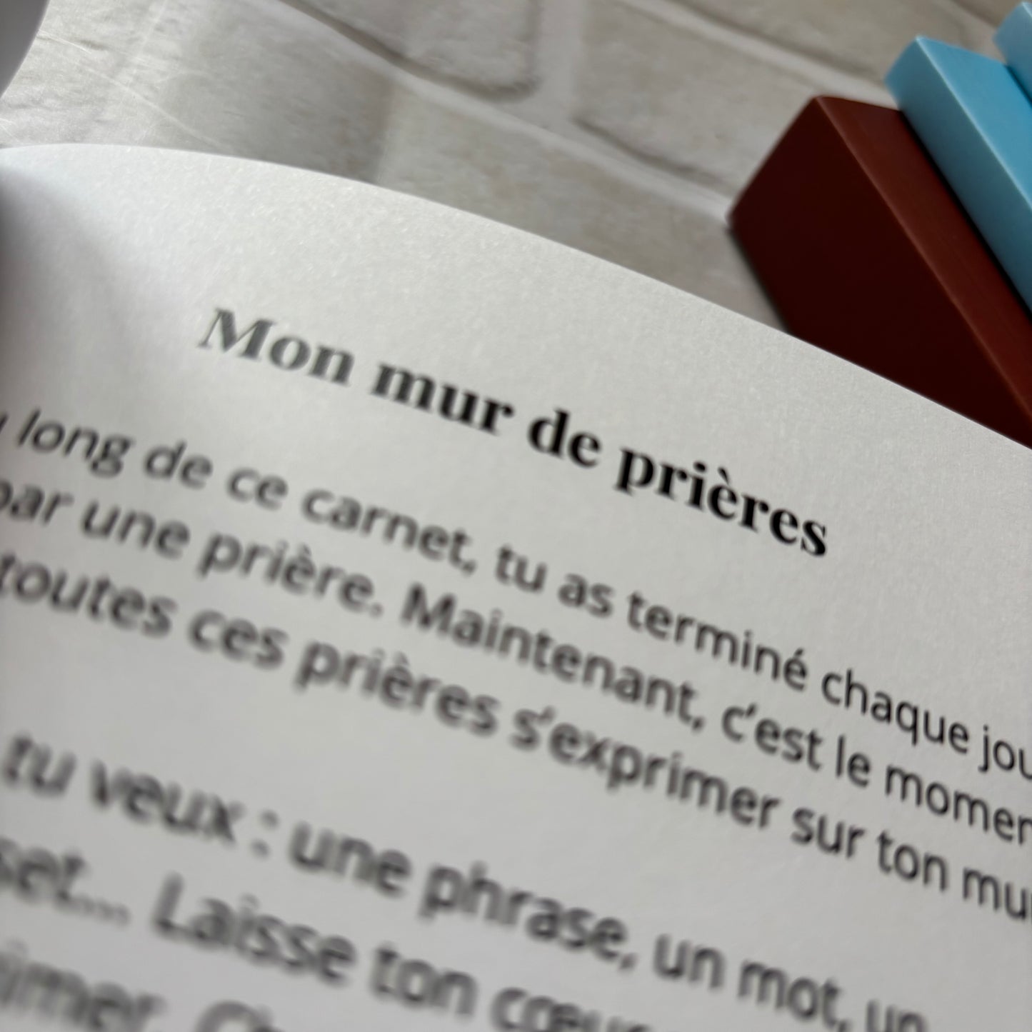 Ruth - Etude biblique pour avancer dans une nouvelle saison
