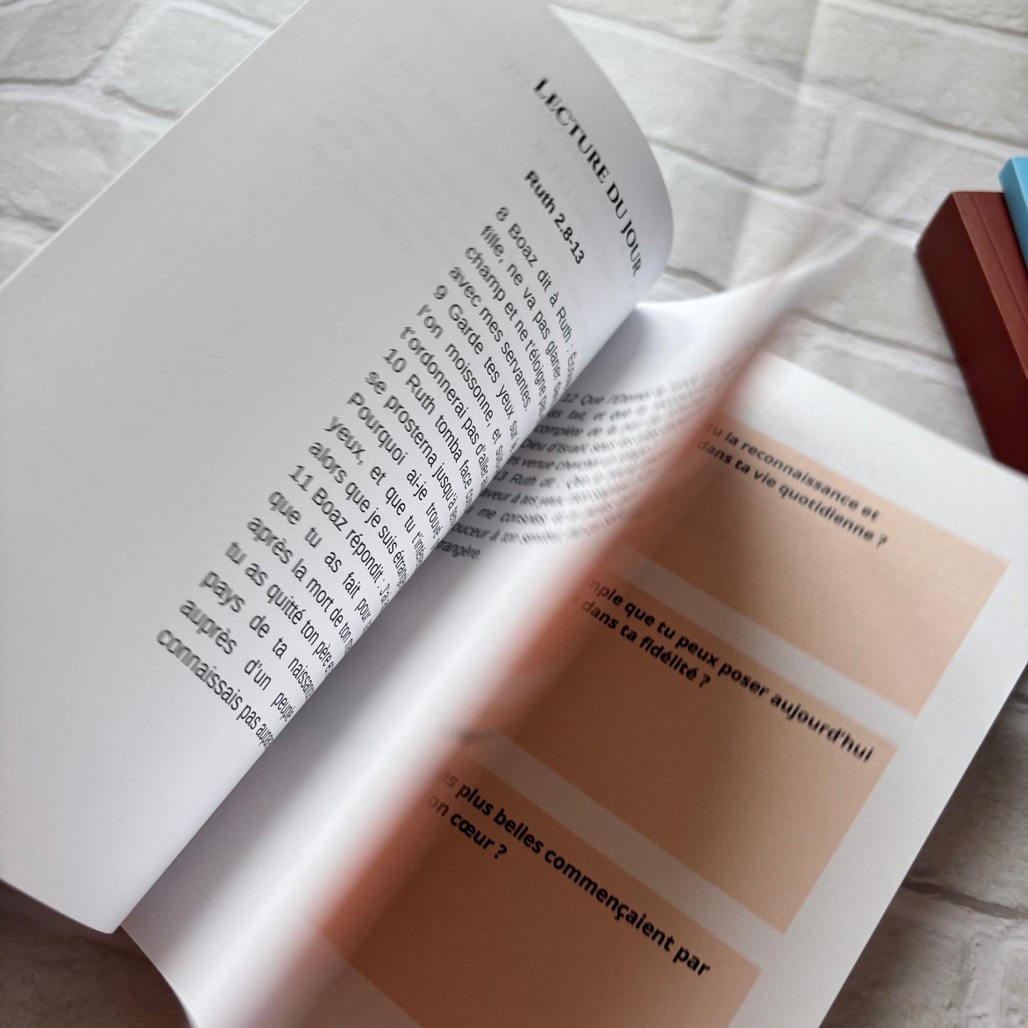 Ruth - Etude biblique pour avancer dans une nouvelle saison