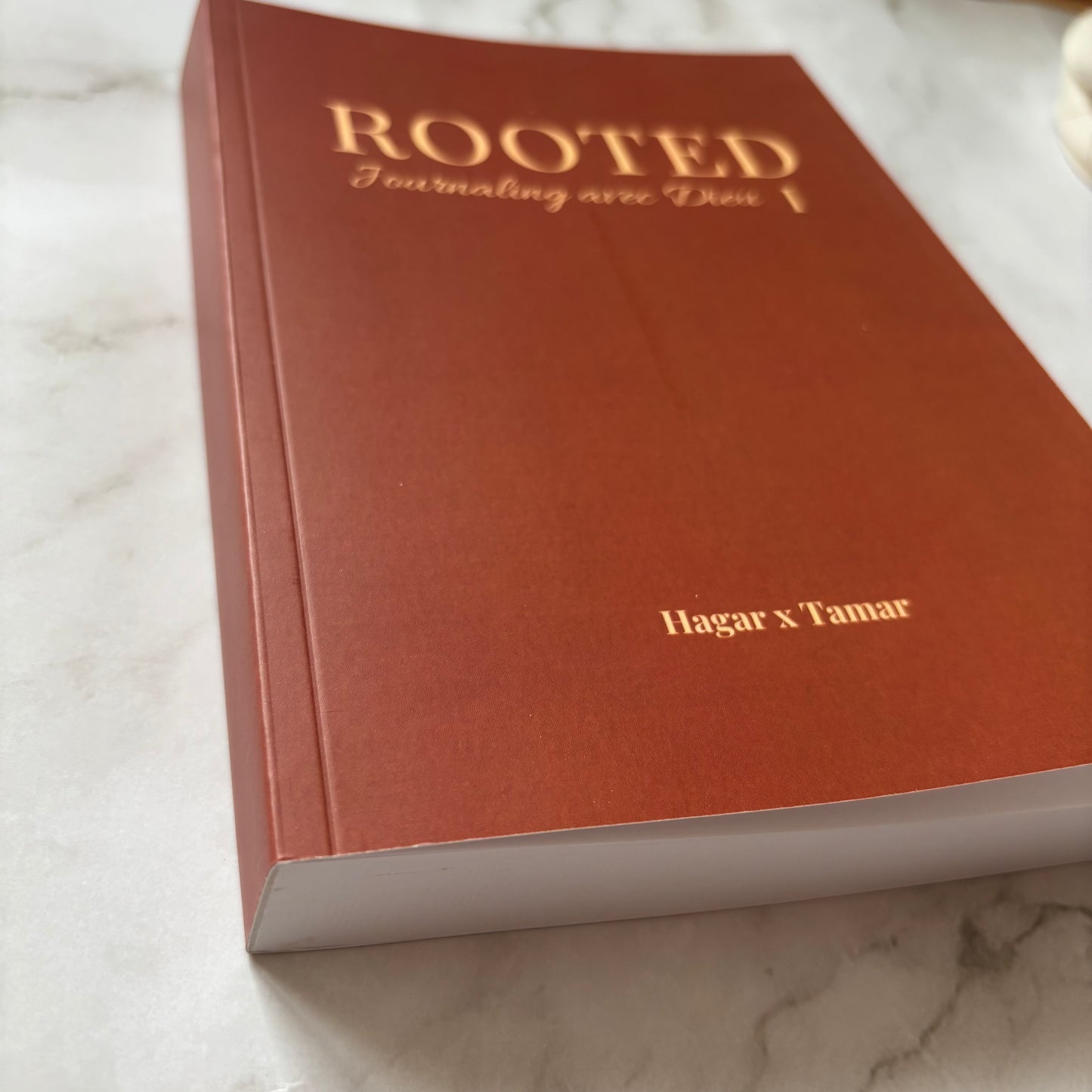 photo du carnet de journaling rooted
