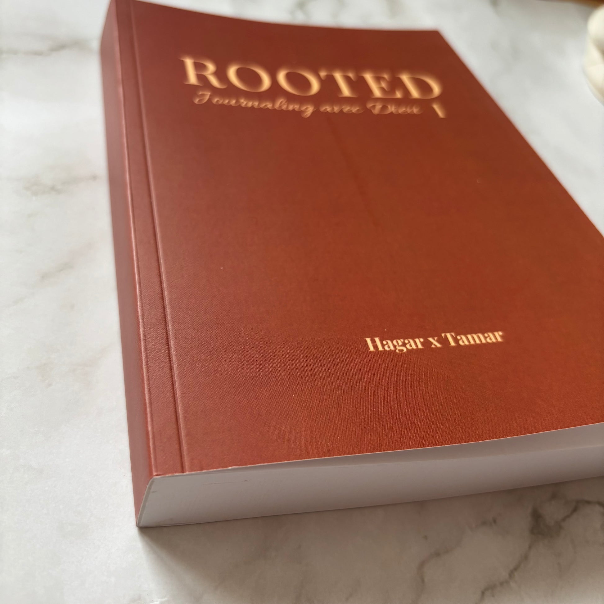 photo du carnet de journaling rooted