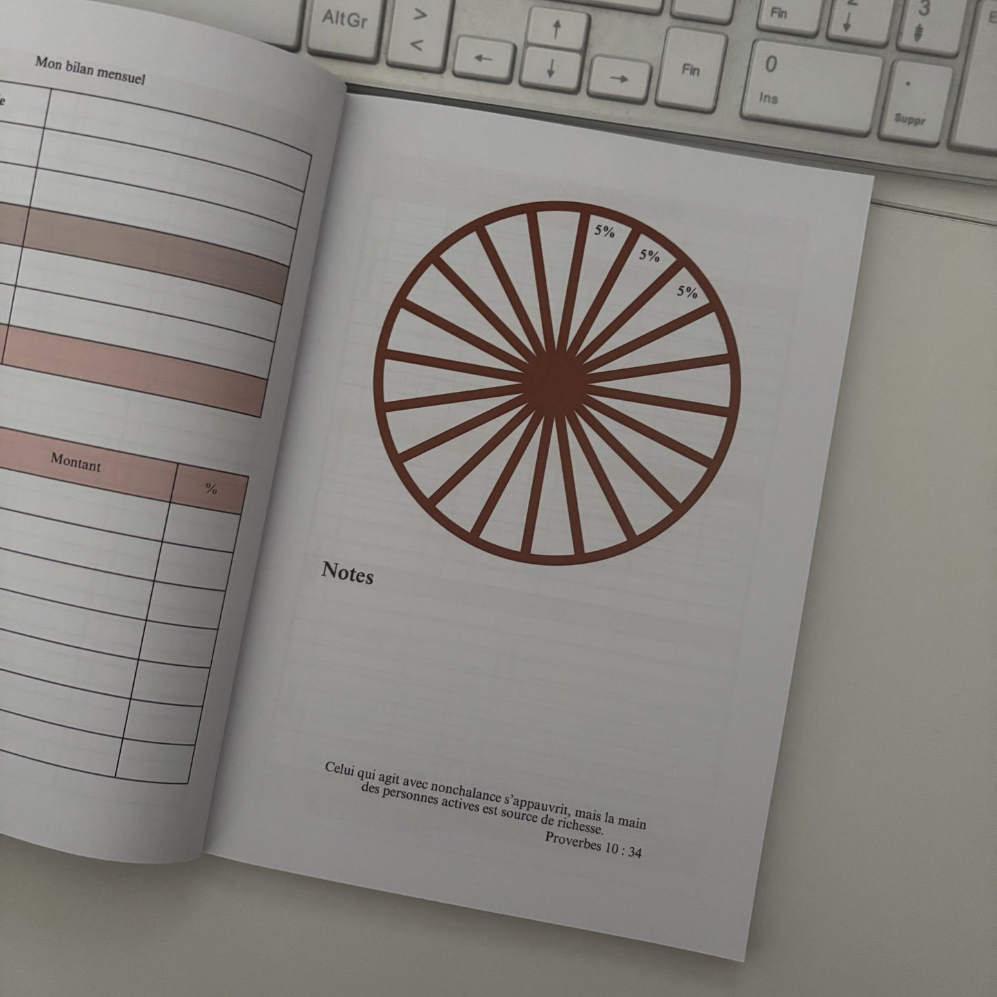 photo du carnet budgétaire rebuild de she mirrors page analyse des catégories des depenses