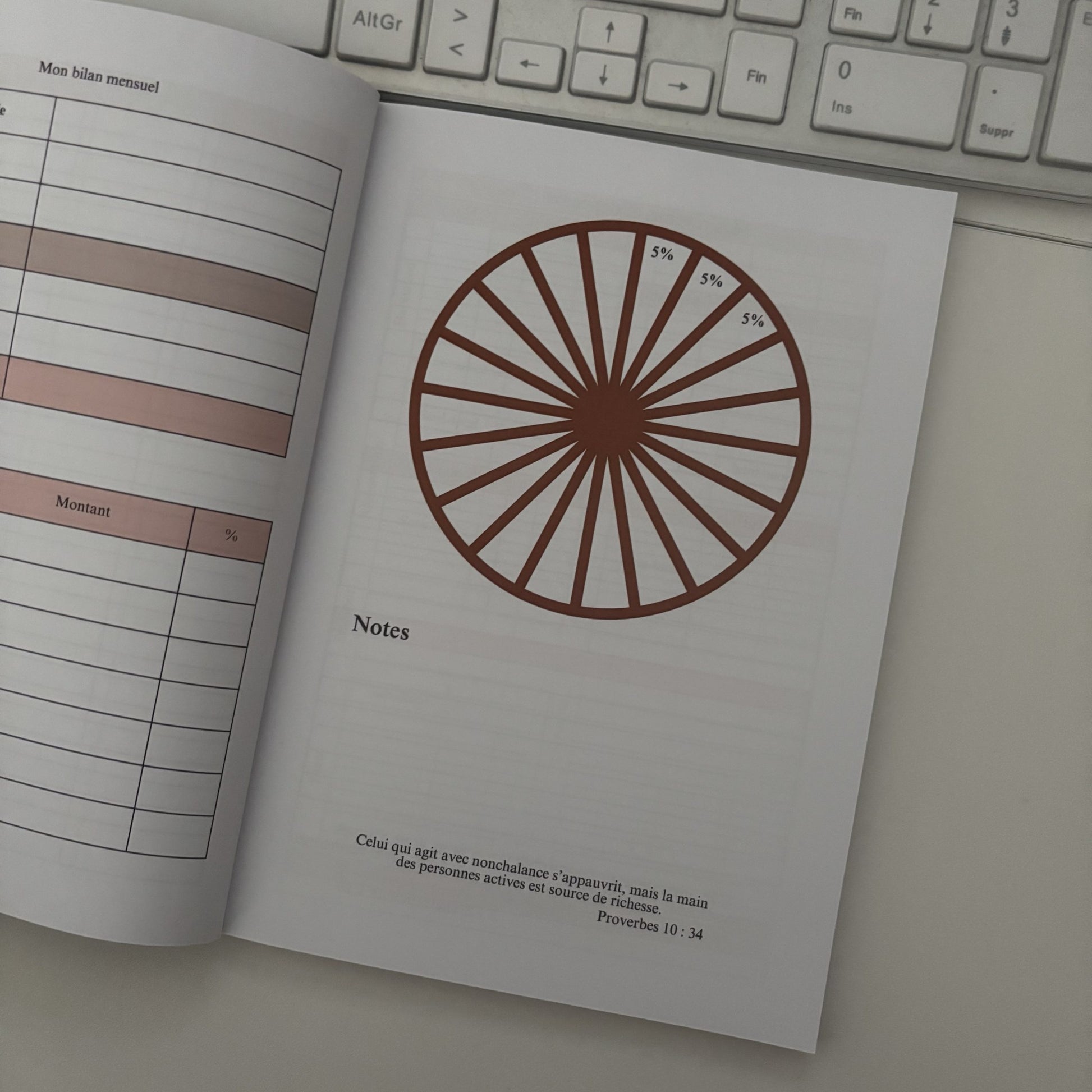 photo du carnet budgétaire rebuild de she mirrors page analyse des catégories des depenses