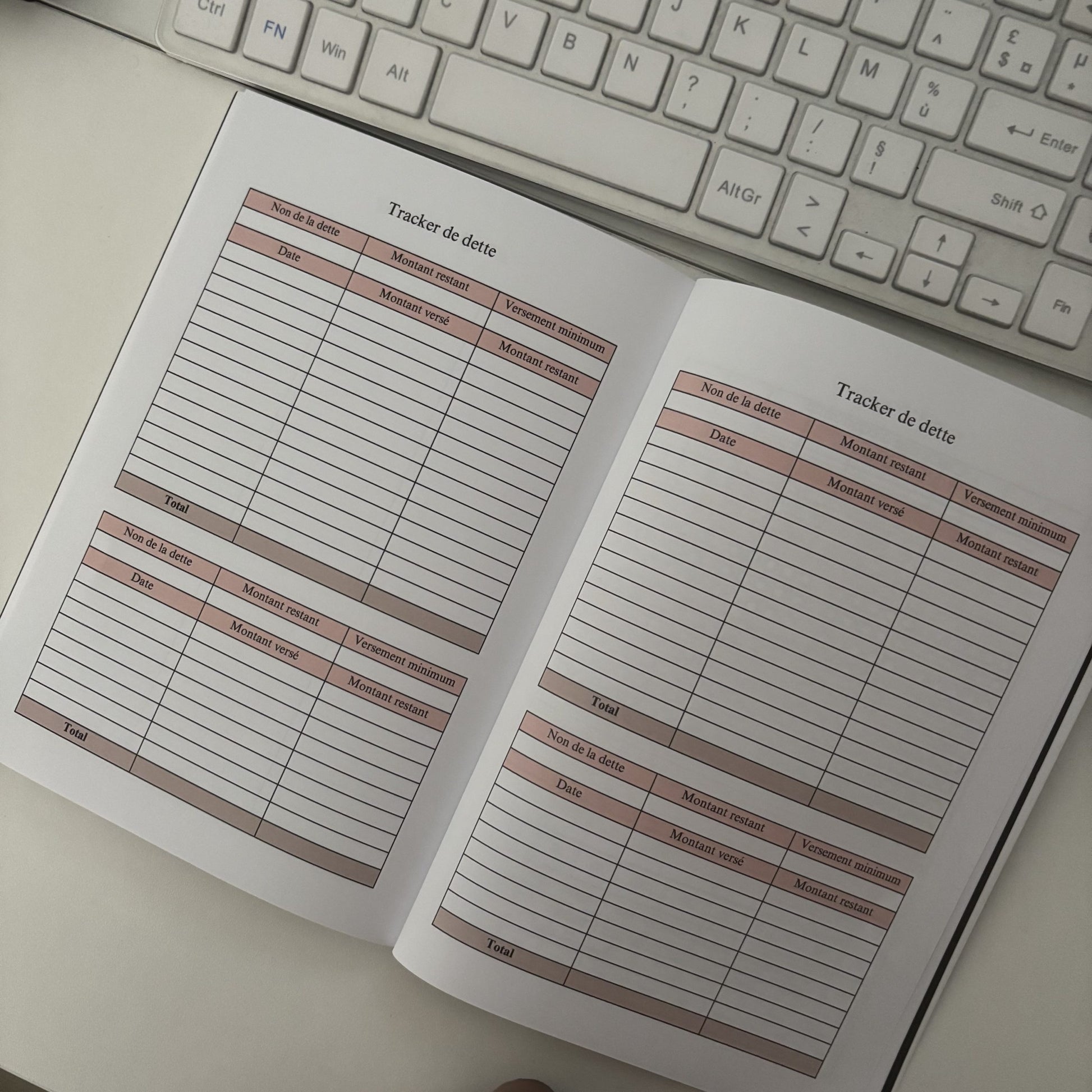 photo du carnet budgétaire rebuild de she mirrors pages des dettes