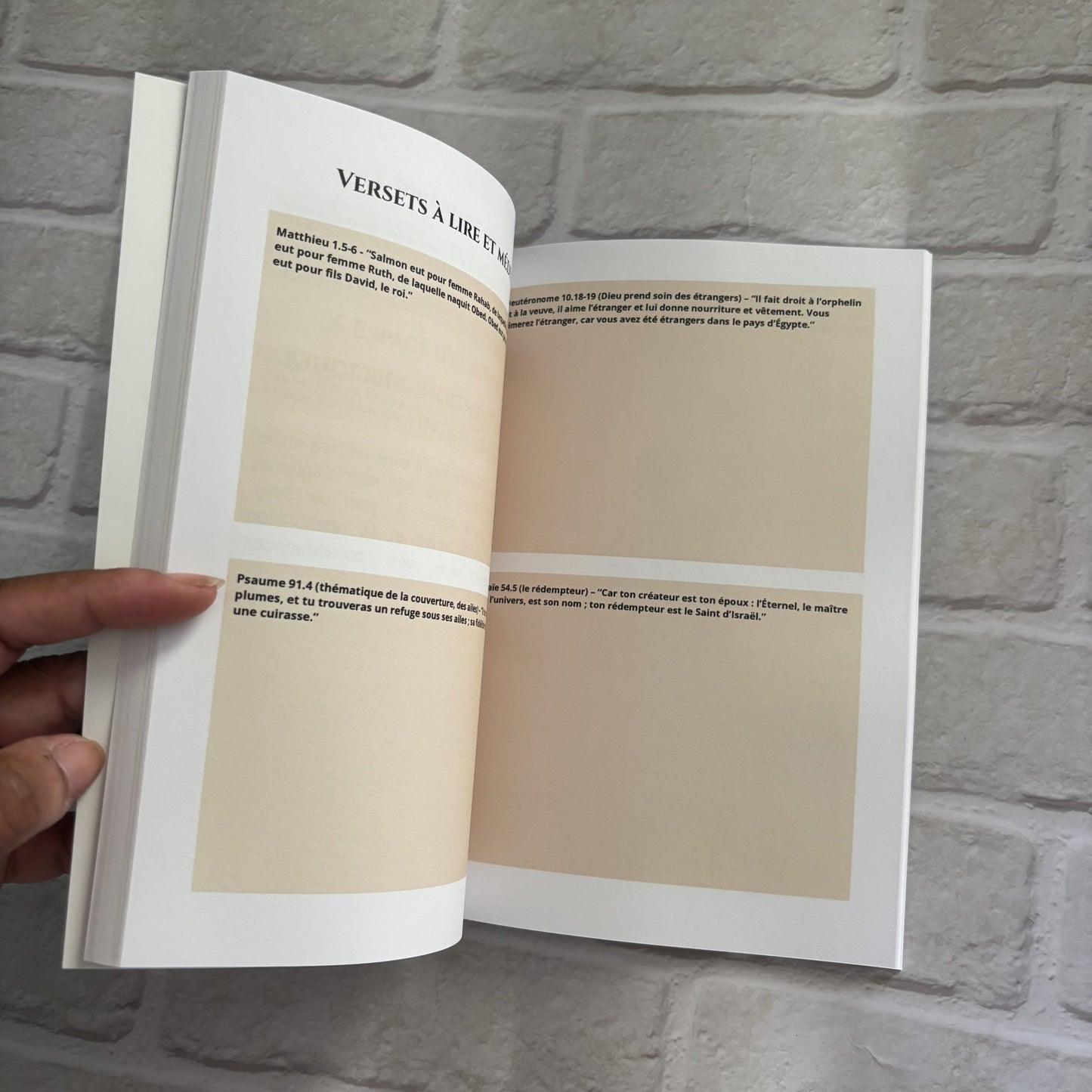 Ruth - Carnet d’étude biblique