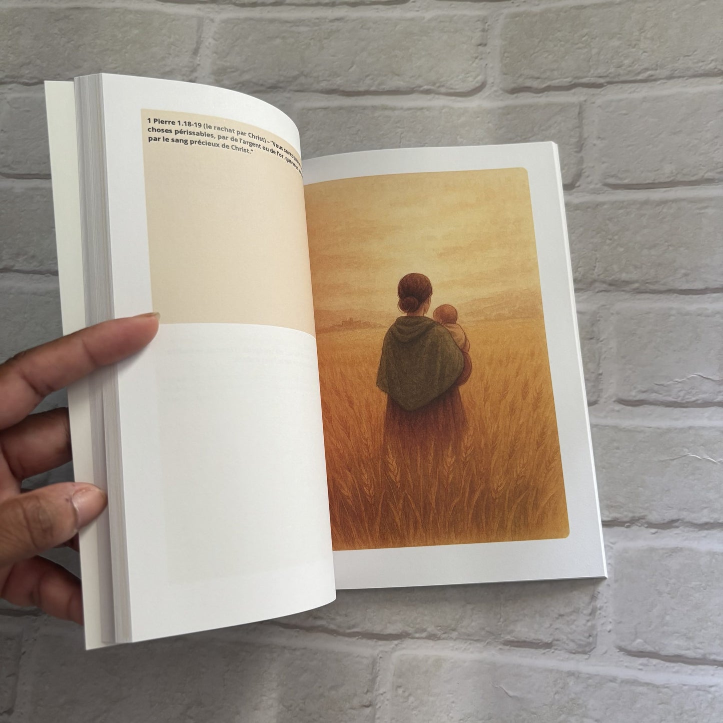 Ruth - Carnet d’étude biblique