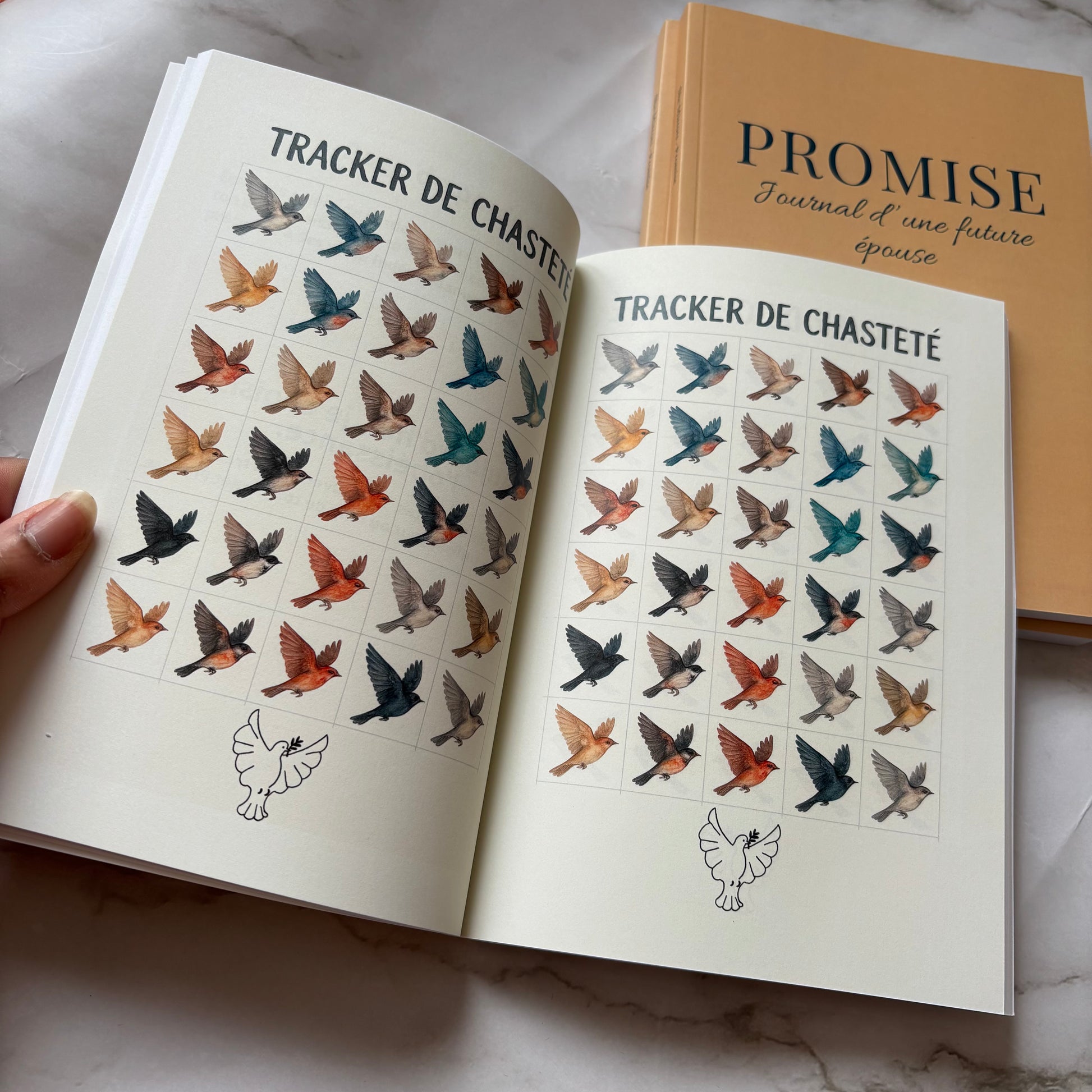 photo intérieur du carnet de prière promise page tracter de chasteté